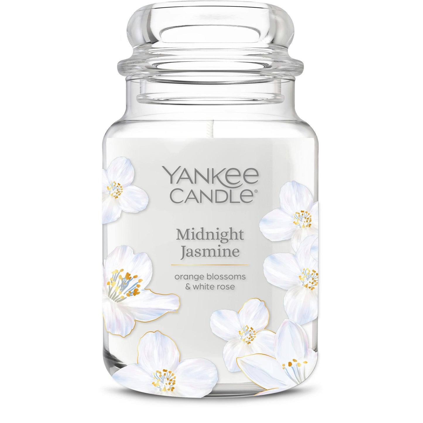 Midnight Jasmine | Home Select