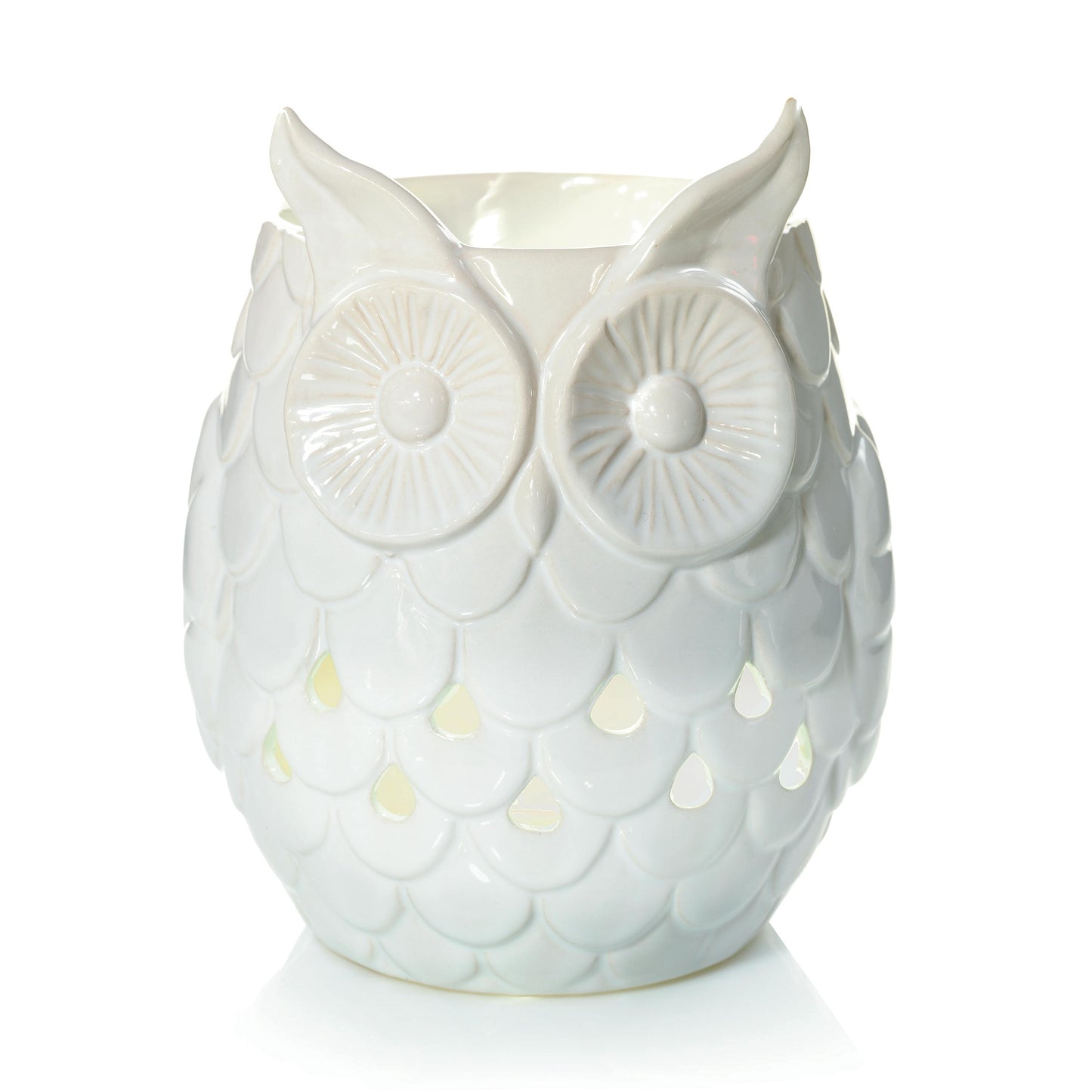 Owl | Easy Series