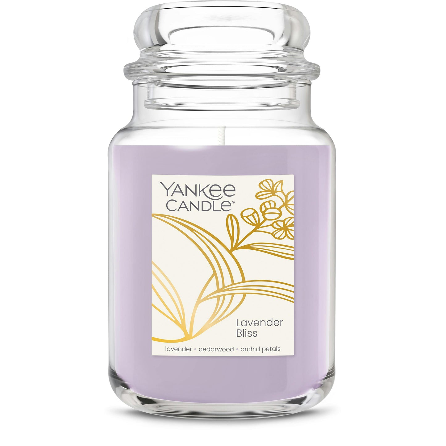 Lavender Bliss | Daily Edit