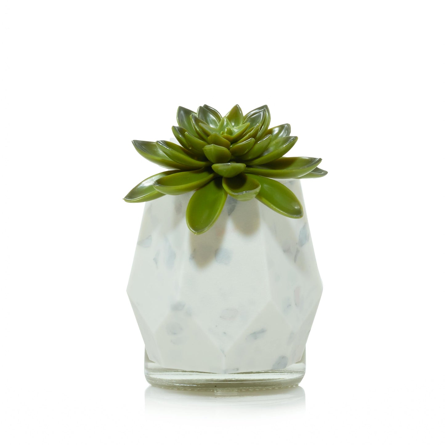 Faceted Succulent ScentPlug® Diffuser with Light | Classic Pick
