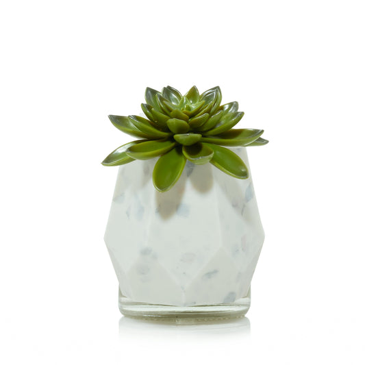Faceted Succulent ScentPlug® Diffuser with Light | Classic Pick